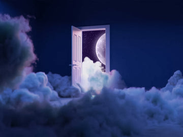 Why Do We Forget Our Dreams? And how you can remember them.